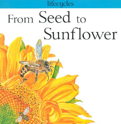 From Seed to Sunflower (Lifecycles)