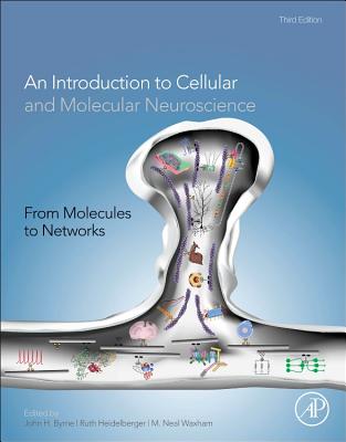 From Molecules to Networks: An Introduction to Cellular and Molecular Neuroscience