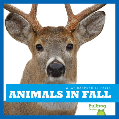 Animals in Fall: Preparing for Winter (Cloverleaf Books   Fall's Here!)